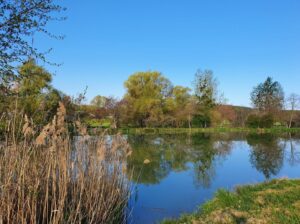 Vue sur l'étang de Cossaye