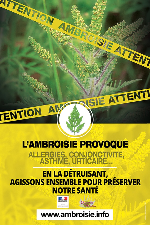 affiche lutte contre l'ambroisie