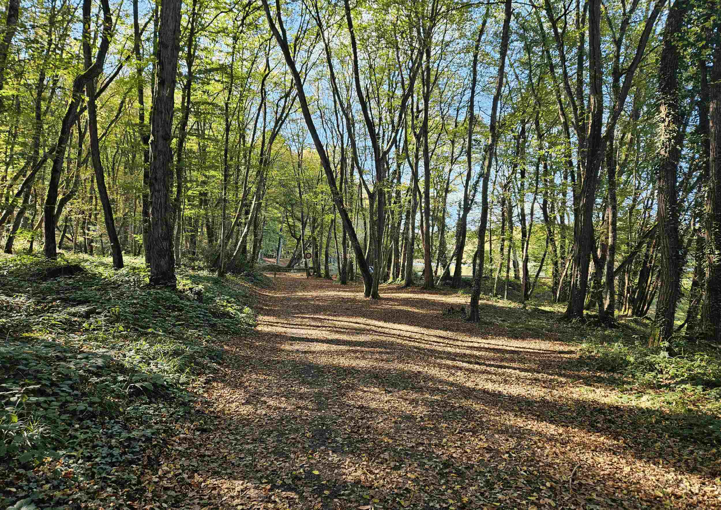 programme vacances d'automne