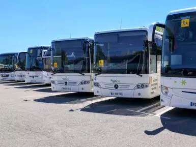 bus transport gonin