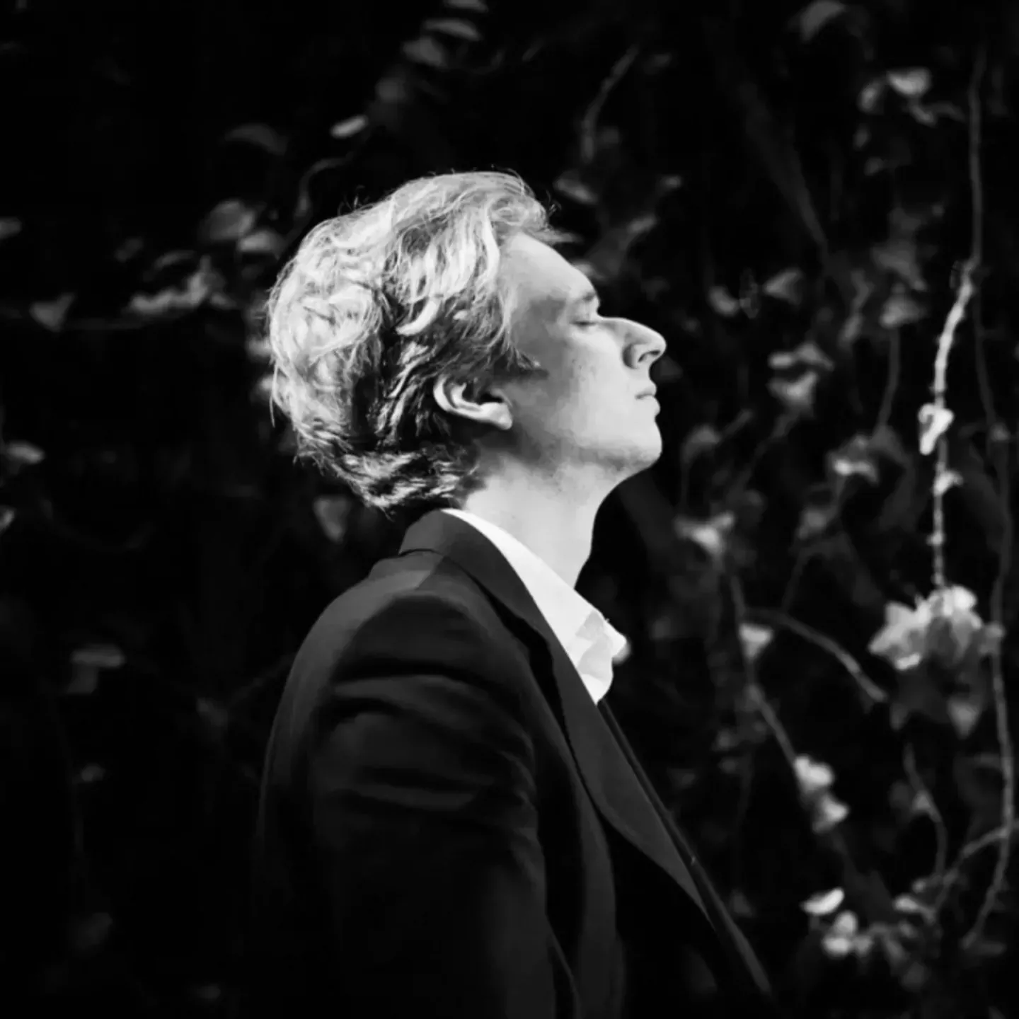 Krzysztof Wierciński concert