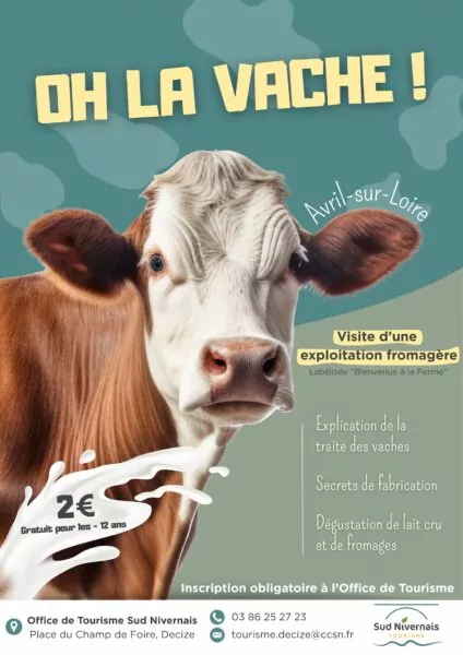 visite ferme avec vaches